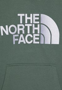 Felpa verde con cappuccio caratterizzata da un grande logo ricamato bianco "THE NORTH FACE" con un accento curvo. Include una tasca a marsupio frontale.