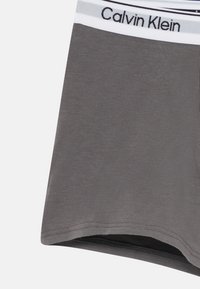 Grijze katoenen boxers met een zachte elastische tailleband met zwart-witte strepen en het "Calvin Klein"-logo. Zachte textuur, aansluitend ontwerp.