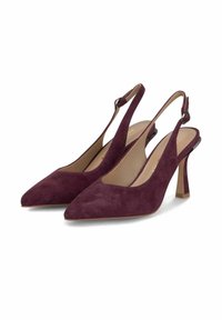 Zapatos de tacón en ante burdeos, con punta afilada y un tacón delgado y transparente. Correa ajustable con detalle de hebilla metálica.