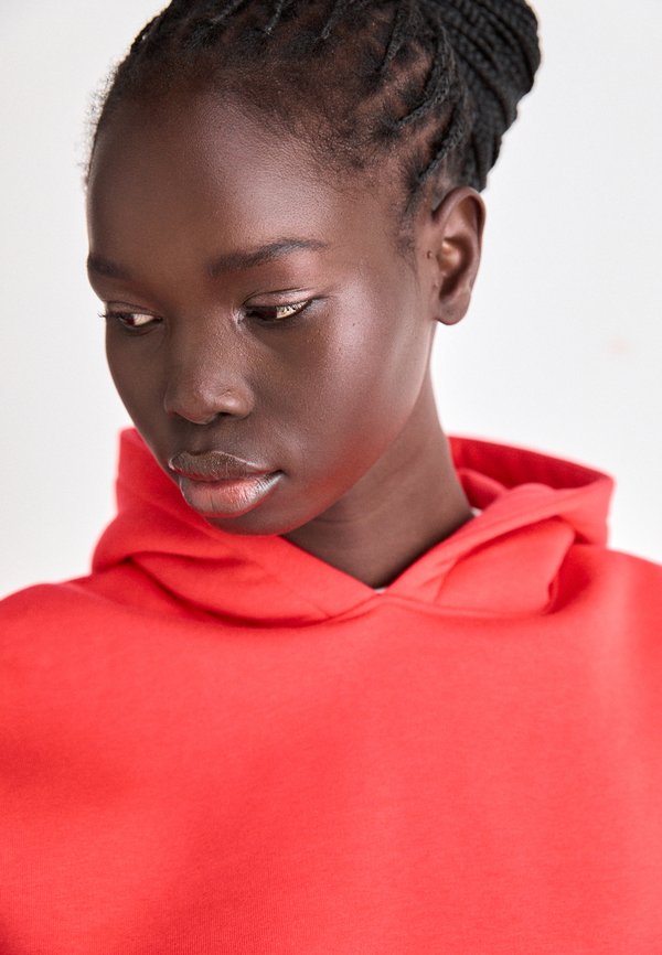 BASIC ORIGINAL HOODIE - Sweatshirt - hibiscus4