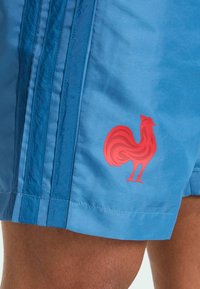 Los bañadores de color azul presentan un acabado texturizado con un logo de gallo rojo en la parte inferior izquierda. La tela ligera con rayas laterales añade detalle.