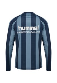Långärmad sporttröja med vertikala blå och mörkblå ränder, nätstruktur och "hummel PERFORMANCE"-logotyp i vitt på baksidan.