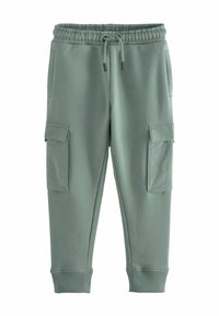 Next UTILITY STYLE - REGULAR FIT - Tepláky - sage green