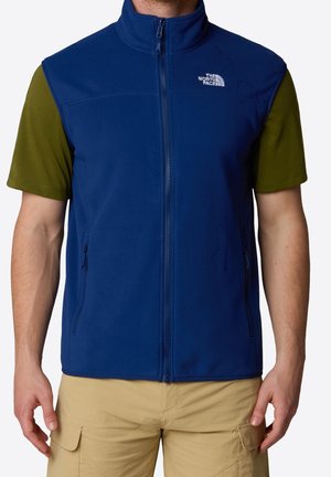 Hombre que lleva un chaleco de forro polar sin mangas azul con cremallera sobre una camiseta de manga corta verde oliva y pantalones cargo beige, de pie con los brazos relajados.