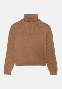 Calvin Klein Jeans MONOLOGO ROLLNECK - Pulover - woodsmoke
