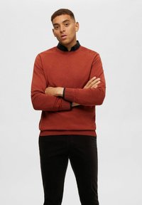 Rostfärgad sweatshirt i ett mjukt tyg med rund halsringning, kontrasterande svart krage och mudd. Modellen poserar med armarna i kors.