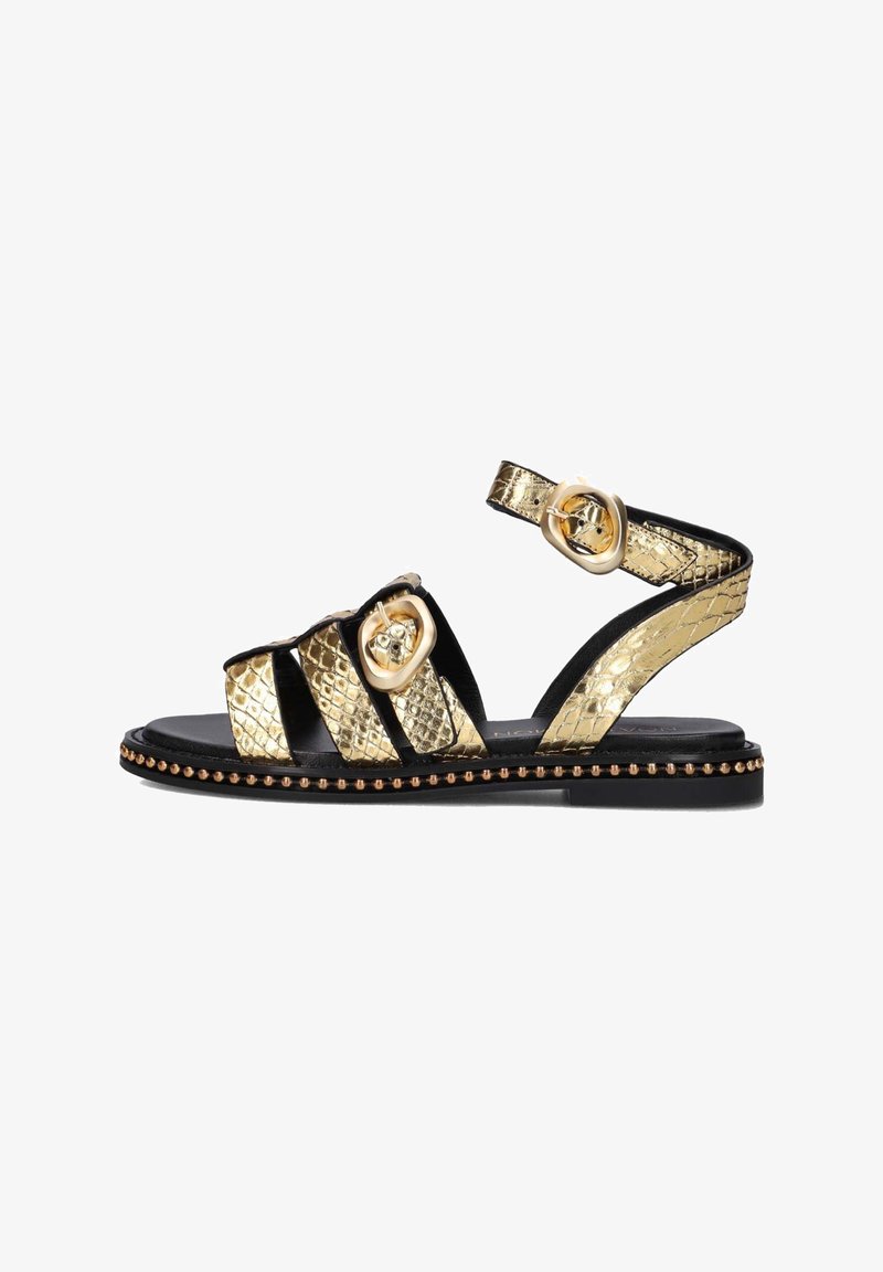 Zwarte en gouden sandalen met een reptieltextuur bovenkant, drie banden, een gespsluiting en een platte zool versierd met ronde studs.