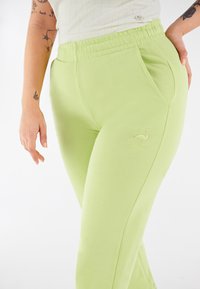 Freddy CON PATCH FENICOTTERO IN TONO - Pantaloni sportivi - verde