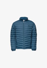 Neizbrano, indian teal