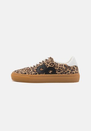 KOHIA - Trainers - brown/black