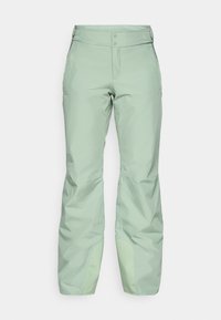 DESCENDIT PANT - Calças de esqui - slate moss