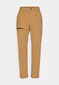 BASIN PANT - Outdoorbroeken - utility brown