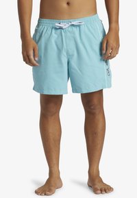 Quiksilver EVERYDAY VERT VOLLEY 16 - Bañador corto - bha