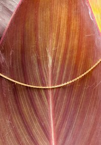 Eine goldene Kette, die auf einem großen, lebhaften burgunderfarbenen Blatt liegt. Die Kette besteht aus verknüpften ovalen Formen mit einer glatten Oberfläche.