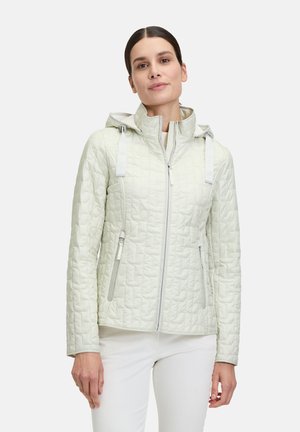 Light jacket - lichtgrijs