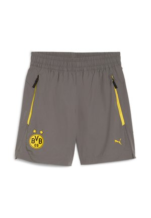 Pantaloni sportivi grigi con vita elastica, zip gialle sulle tasche laterali e un logo nero e giallo con la scritta "BVB 09" e due stelle.