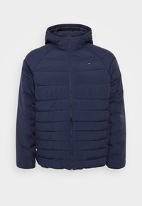 MIX QUILT HOODED JACKET - Veste d'hiver - desert sky