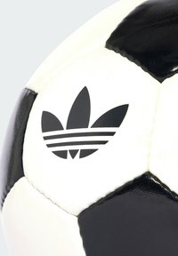 Imagen en miniatura 3