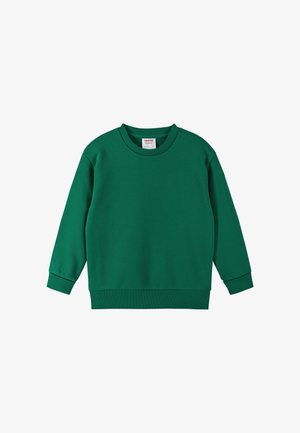 Green sweatshirt made of soft fabric, featuring a crew neckline, long sleeves, ribbed cuffs, and a straight bottom hem. No graphic designs.