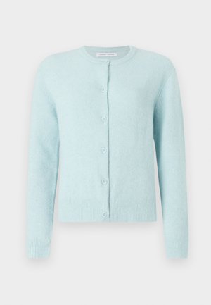 Cardigan azzurro chiaro realizzato in materiale morbido, con scollatura rotonda, maniche lunghe e cinque bottoni sul davanti.