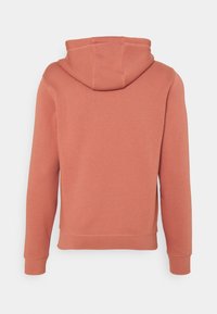 Rust-colored long-sleeve hoodie shown from the back, featuring a fitted hood, ribbed cuffs, and a ribbed hem.