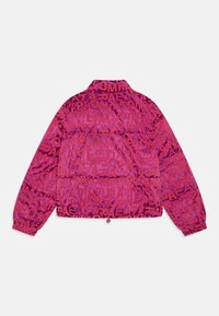 EA7 Emporio Armani GIUBBOTTO UNISEX - Zimní bunda - fancy fuchsia