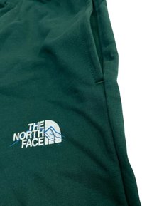 Felpa con cappuccio in cotone verde scuro, caratterizzata da un logo ricamato bianco e blu di The North Face sul davanti. Tessuto morbido, design casual.