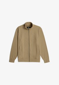 Seleccionado, safari