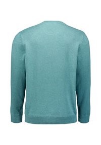 Turquoise trui, lange mouwen, ronde halslijn, zachte textuur, geribde manchetten en zoom, eenvoudige ontwerp, achteraanzicht.