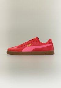 Niewybrane, candy apple/magic rose