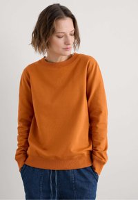 Seasalt Cornwall - MAPPA  - Sweatshirt - cumin - cumin Thumbnail Image 1