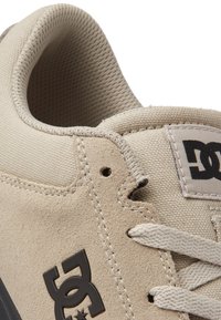 DC Shoes CRISIS 2 - Tenisice za trening - silver birch - solid