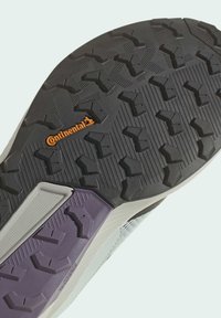 adidas Performance TRAILRIDER TRAIL - Zapatillas de trail running - silver crystal white dgh solid grey