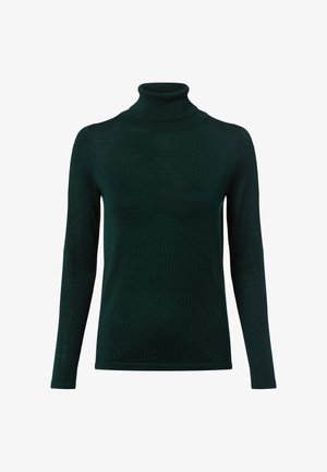 Ciemnozielony sweter z golfem, wykonany z miękkiego, lekkiego materiału; posiada długie rękawy i dopasowany krój z prążkowanym dekoltem.