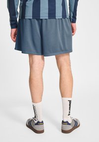 Herrernas atletiska outfit med en långärmad randig skjorta i blå nyanser, meshshorts, vita strumpor med svart logotyp och grå sneakers.