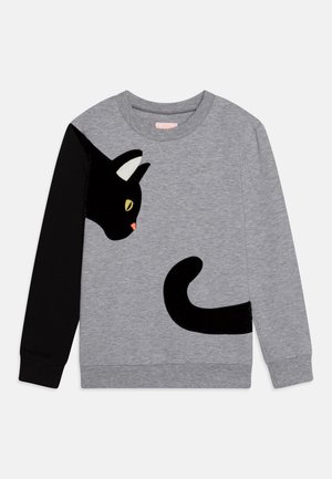 WAUW CAPOW STREETWISE  - Sweatshirt - grey