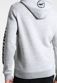 Felpa grigia con cappuccio realizzata in tessuto morbido. Presenta un logo sul cappuccio e la scritta "Hollister" stampata verticalmente sulla manica sinistra.