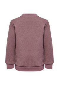 Licht mauve sweatshirt van een textuurstof, met ribgebreide boorden en zoom, en een kraag. Bevat een eenvoudige, ongecensureerde achterzijde.