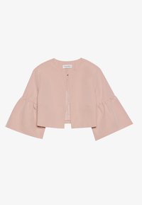 Blazer - light pink