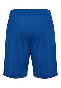 Blue athletic shorts with elastic waistband, knee-length cut, and smooth fabric texture, shown from the back.