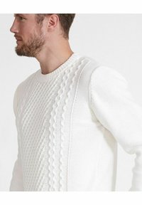 Holebrook BOTVID CREW - Strickpullover - off white