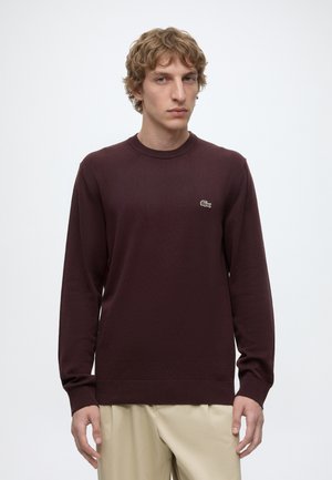 Jeune homme aux cheveux clairs et bouclés portant un pull marron foncé à manches longues et un pantalon beige, se tenant devant un fond blanc uni.