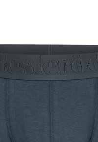 Dunkelgraue Boxershorts mit einem elastischen Bund, der mit geprägt markierten Logo versehen ist. Der Stoff ist glatt, mit flachen Nähten und einem enganliegenden Design.