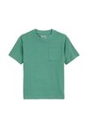 BLUE RIDGE - Navadna majica - green