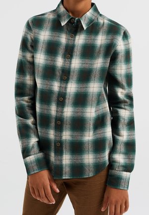 BLUE RIDGE - Chemise - green