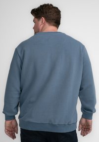 Lichtblauwe sweatshirt gemaakt van zachte stof, met ribgebreide boorden en een zoom. De achterkant toont een eenvoudig, klassiek ontwerp zonder extra details.