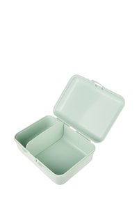 Helle grüne Plastikbrotbox mit einem offenen Scharnierdeckel und einem internen Trennwand, die zwei Fächer schafft.