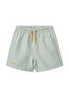 DUKE UNISEX - Swimming shorts - peppermint/crisp white