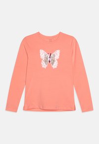 Unselected, murex shell