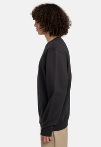 Black sweatshirt with a relaxed fit, long sleeves, ribbed cuffs and hem, made of soft fabric, model shown from the side.